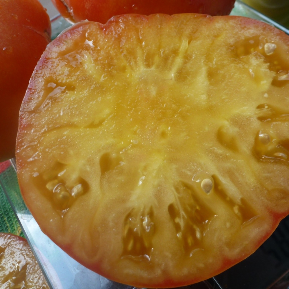 Помидоры COPIA — Копиа - Римская Богиня Богатства и Изобилия