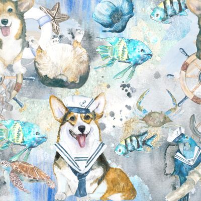 морские корги