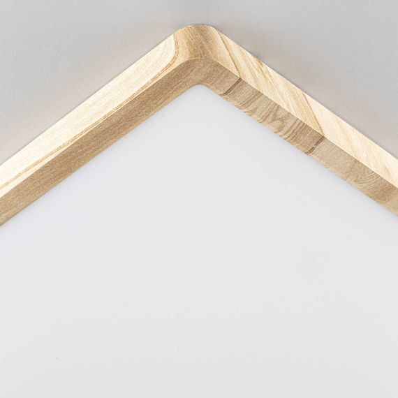 Светильник накладной Citilux Бейсик CL738K502V