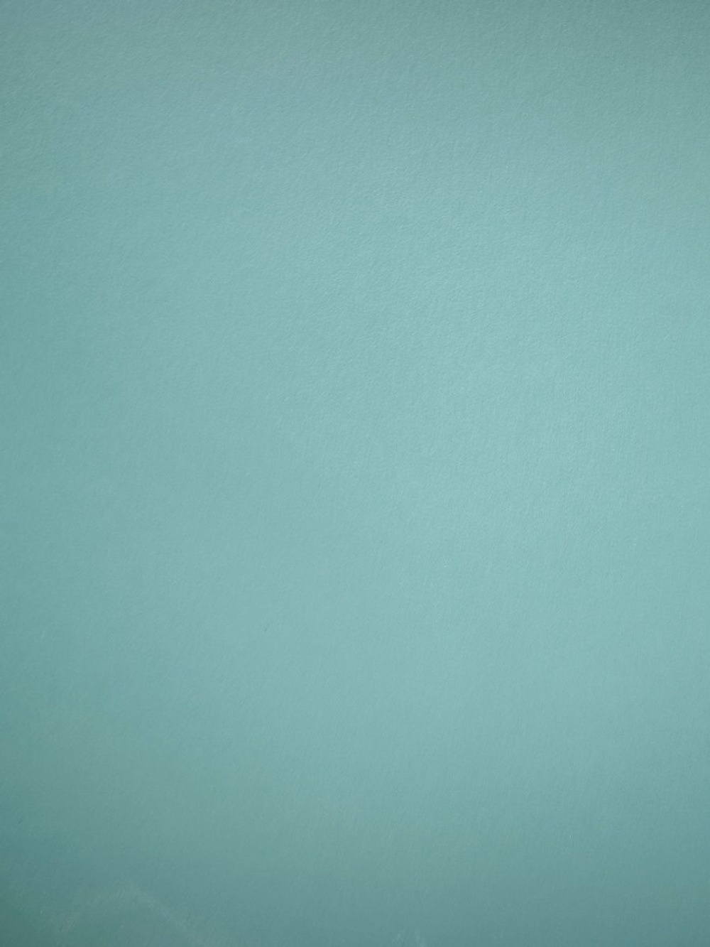 Шкаф для одежды 80х55х170, Марм, распашной, в прихожую, спальню, двухдверный, с деревянной штангой, зеленый самшит, Dipriz