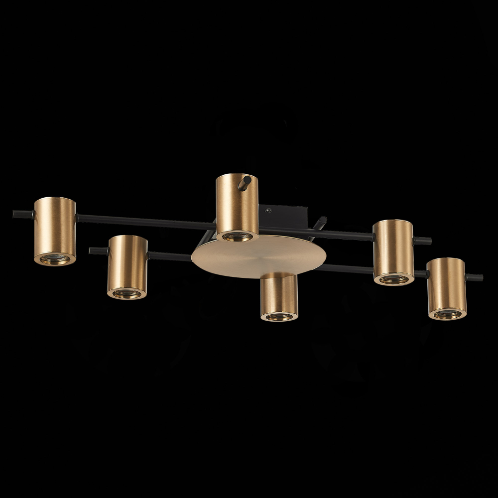 Светильник потолочный ST Luce Veroli SL1207.402.06