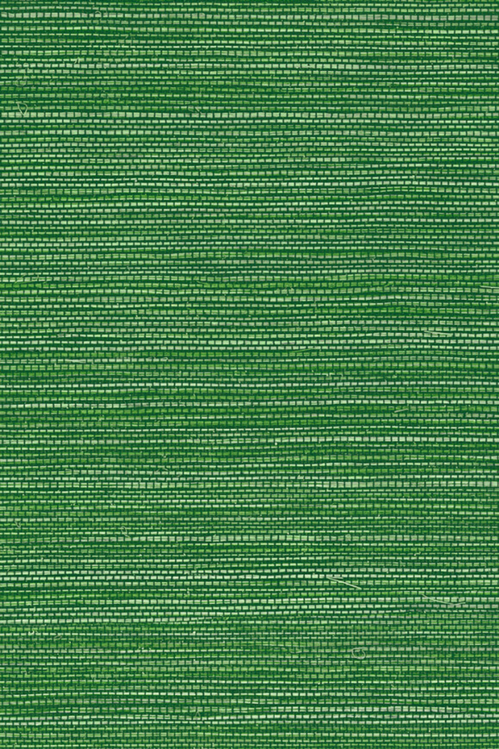 Arte Avalon Marsh – 31500