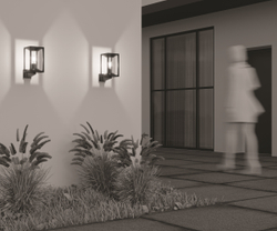 Уличный настенный светильник Outdoor O452WL-01GF