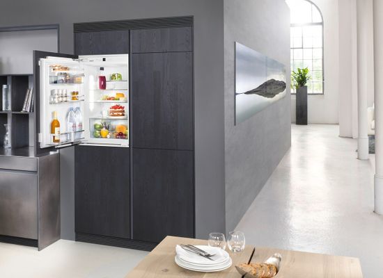 Встраиваемый холодильник Liebherr IKP 1660