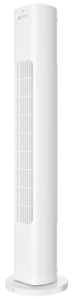 Бытовой вентилятор серии RBF-801E-WT