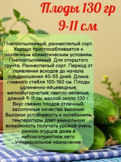 Семена Огурец Вязниковский 37 Пчелоопыляемый раннеспелый 3гр