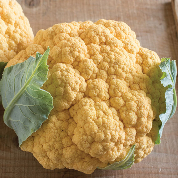 Флейм стар F1 семена капусты цветной (Syngenta / ALEXAGRO) культура – фото 5