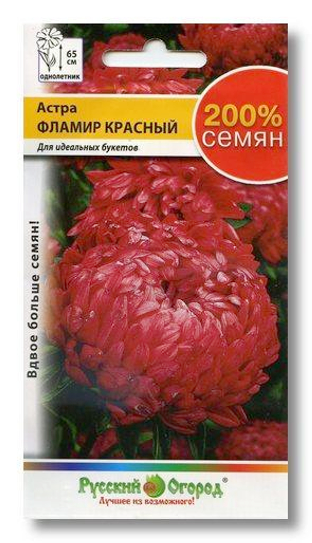 Семена Астра Фламир красный