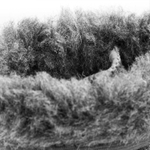 Сапоги ПВХ дошкольные Nordman Step, утепленные, с манжетой (Черный)