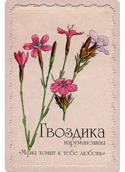 Оракул Селам или Язык Цветов