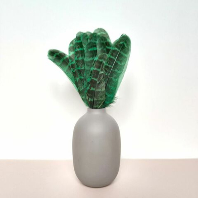 Перья фазана домашнего зеленые 15шт.