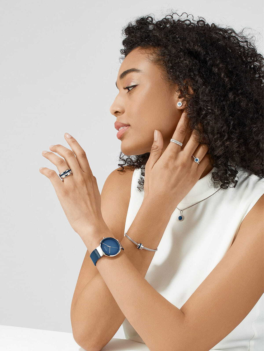 Шарм Bering Arctic Symphony Friends4Ever-1 серебро