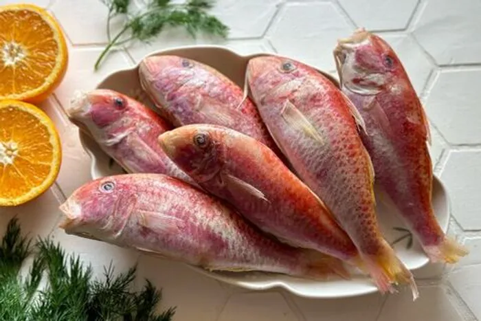 Барабулька р/р 100+ (1/~20 вес.) Мавритания