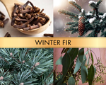 Winter fir (Зимняя ель)