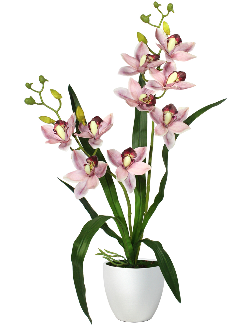 Орхидея Дендробиум 2 ветки лиловая в белом кашпо