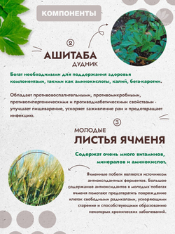 Аодзиру Yonaguni Aojiru из корня пиона, с молочнокислыми бактериями и аминокислотами, 30 стиков.