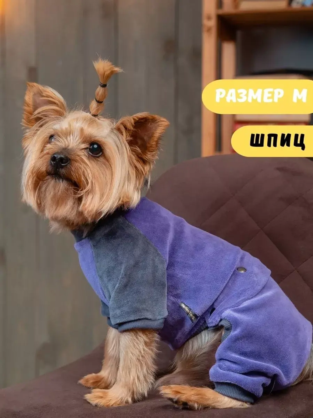 Комбинезон костюм для собак и кошек