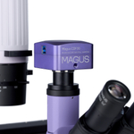 Микроскоп биологический инвертированный цифровой MAGUS Bio VD300