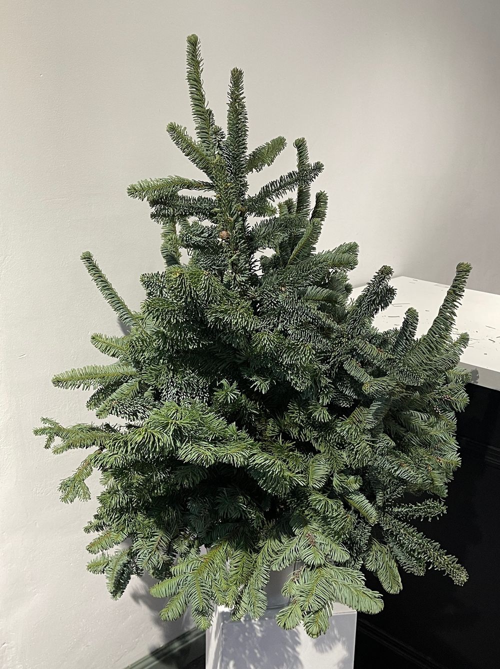 Елка декоративная h-100см