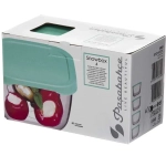 Набор стеклянных контейнеров 4шт 275мл «SNOW BOX» 53223GR