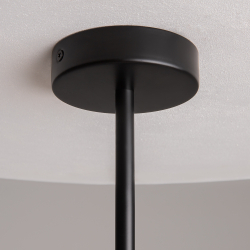 Подвесная люстра Maytoni Organic MOD225PL-06B