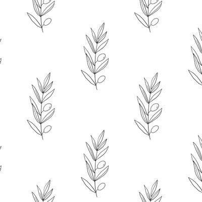 Ветки оливы. Olive branches