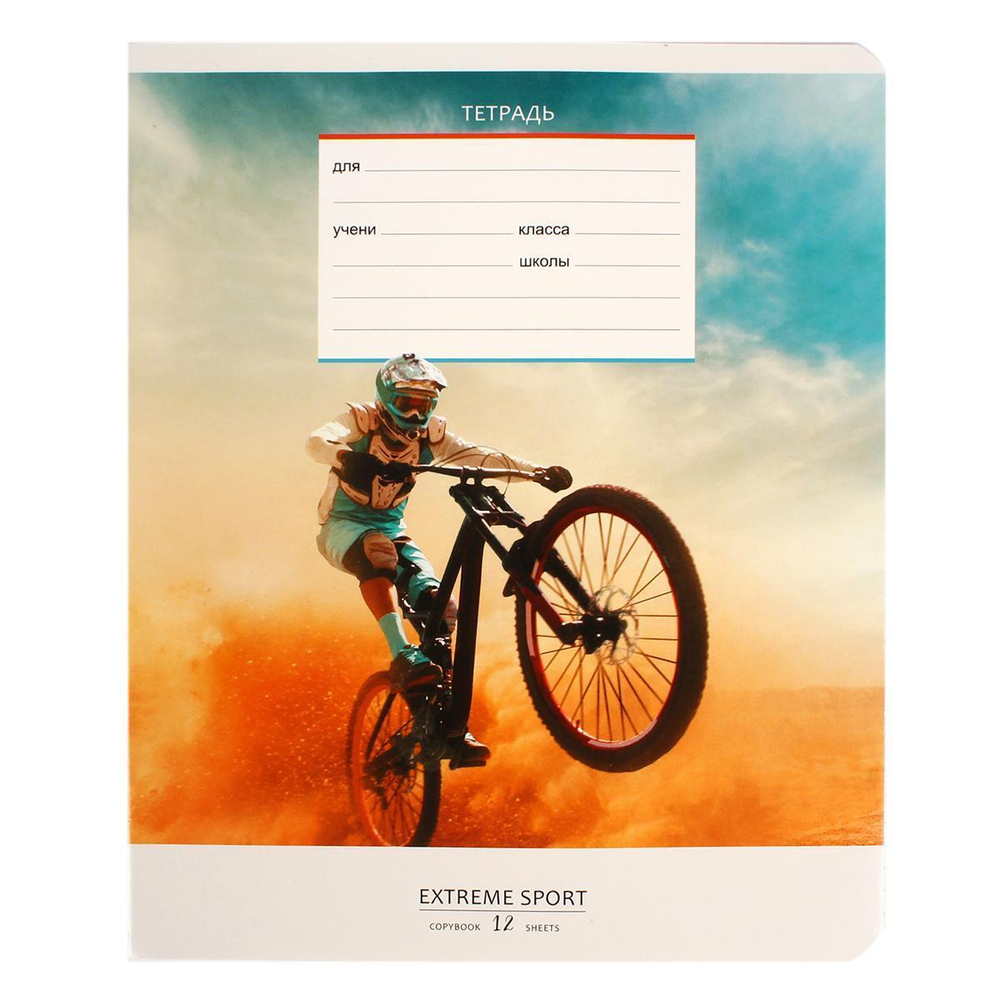 Тетрадь школьная А5 12л клетка, ассорт. "Спорт" (BG) микс цветов (комплект 3 шт)