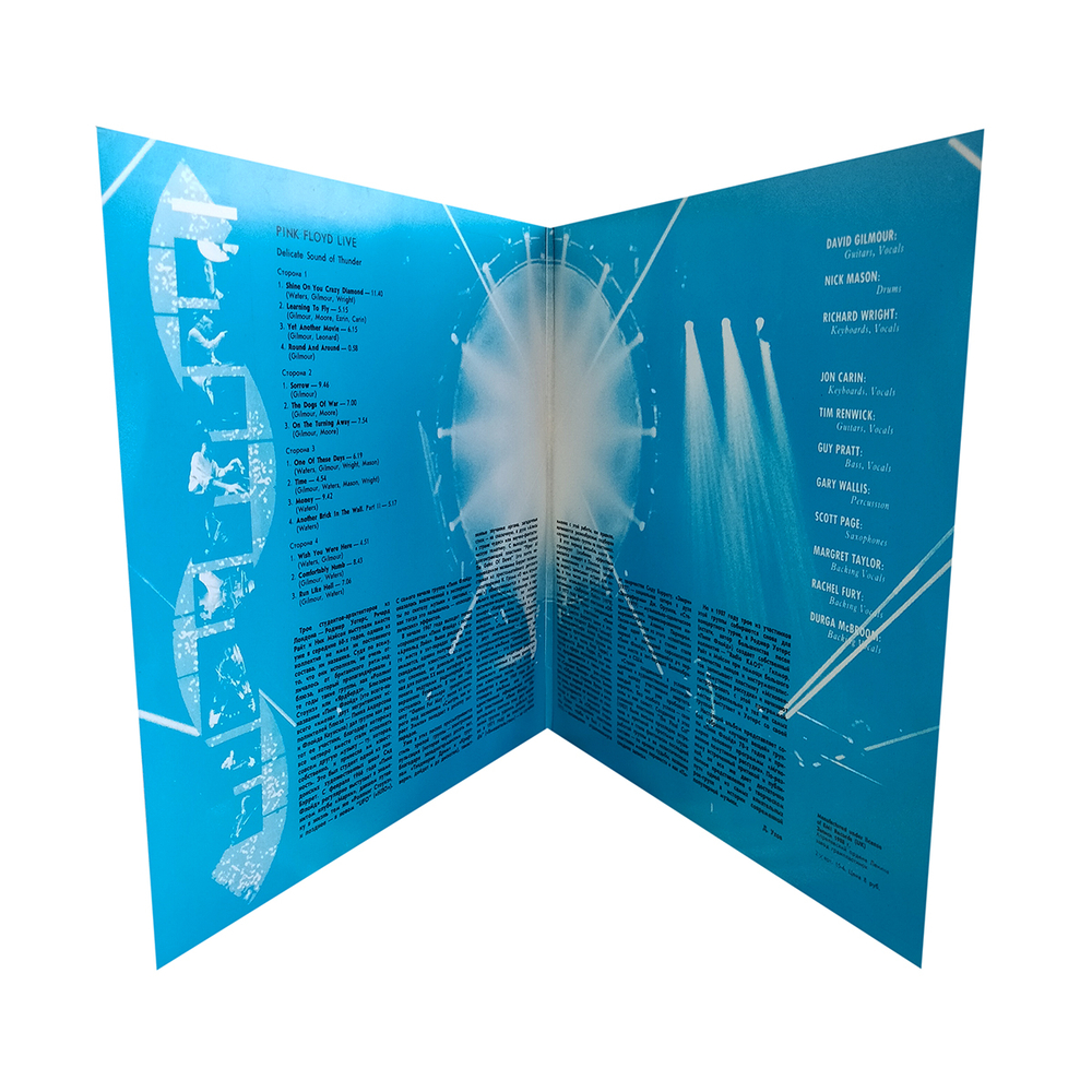 Pink Floyd / Delicate Sound Of Thunder (2LP)
