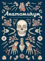 Энциклопедия Анатомикум