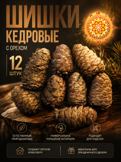 Шишки кедровые.