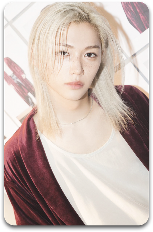 Карта / STRAY KIDS #2052