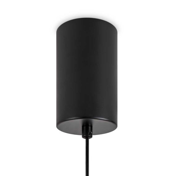 Подвесной светильник Freya Modern Iride FR5627PL-L11BBS