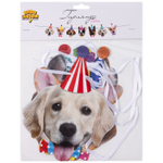 Гирлянда бумажная «Собачки» фотографичные, 250см