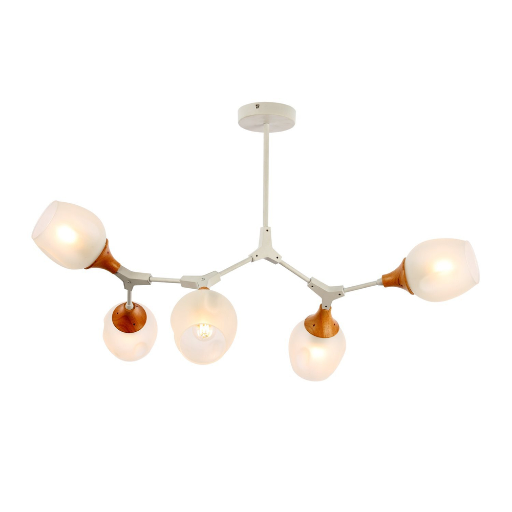 Светильник потолочный Evoluce Ciotolla SLE113502-05