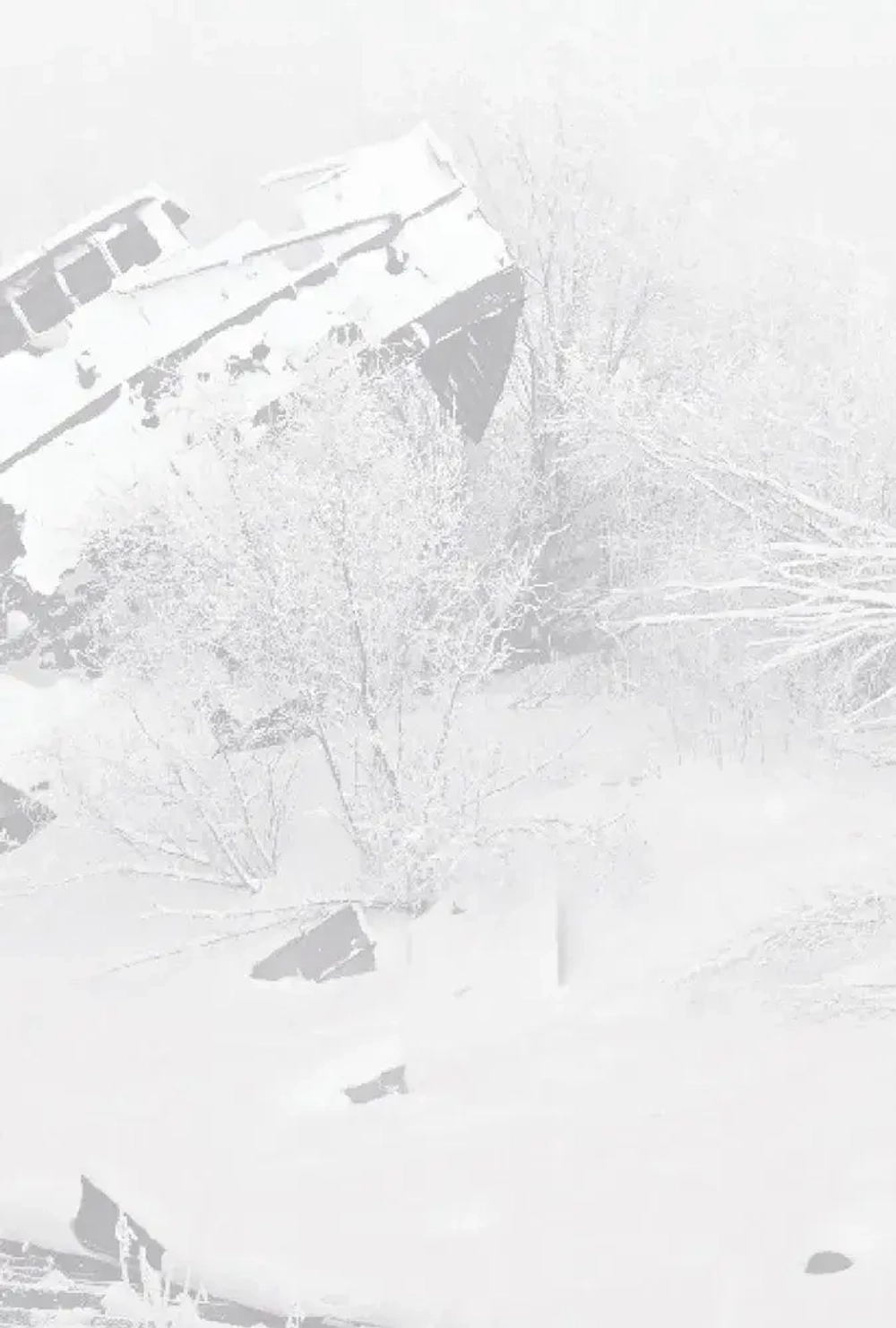 Белый пароход