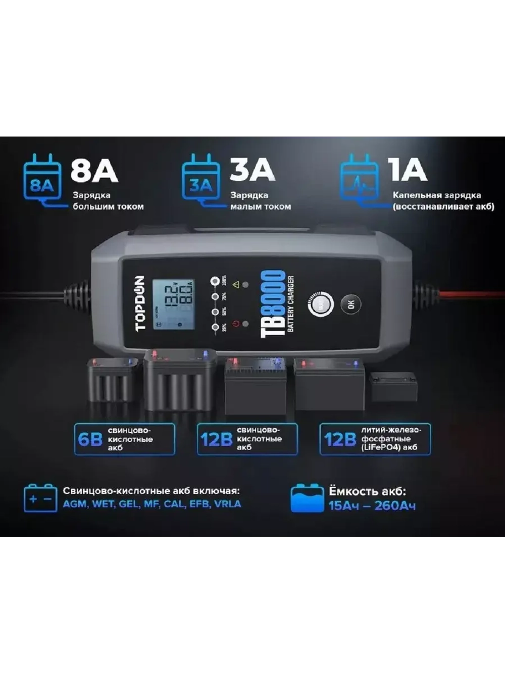 Зарядное устройство TOPDON TB8000 (8A)