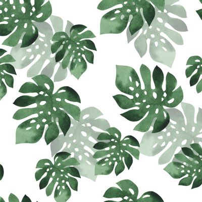 Watercolor tropical seamless pattern with monstera leaves.