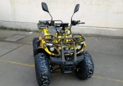 Электроквадроцикл Green Camel Атакама T320 (48V 1000W R8 Дифференциал)