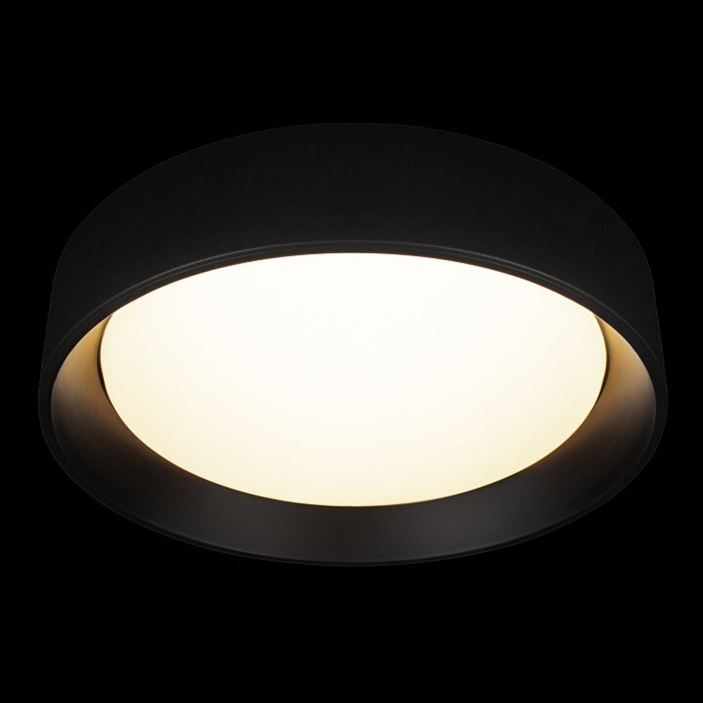 Накладной светильник Loft it Coin 10202 BB