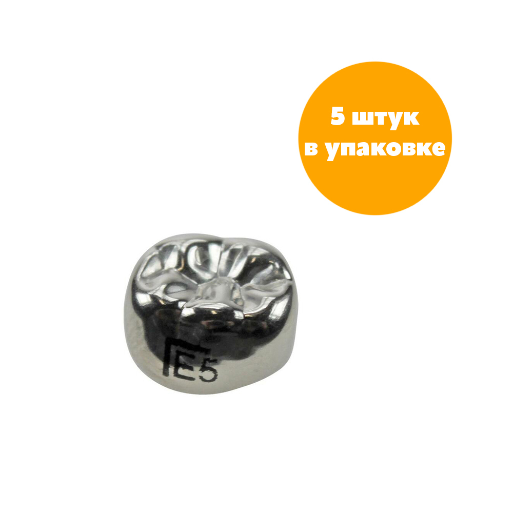 Второй нижний левый моляр, размер 5 (E-LL-5)