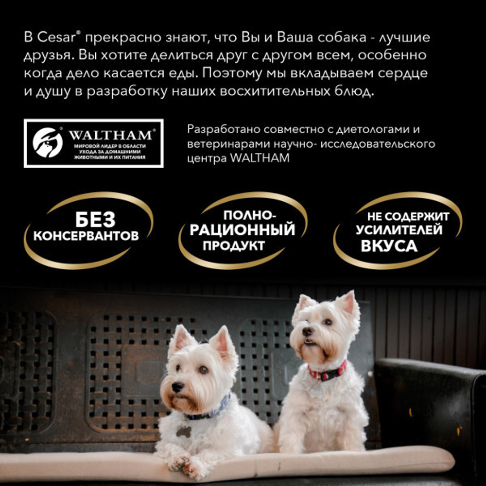 Говядина паштет, 85г влажный корм для собак, Cesar