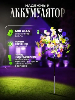 Садовые ромашки на солнечной батарее