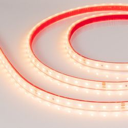 Лента светодиодная Arlight RTW герметичная 024520(2)