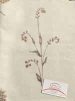 Цветок на бежевом