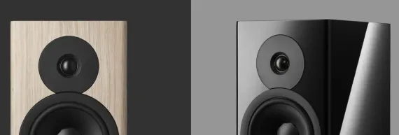 Dynaudio Evoke 20 Walnut Wood