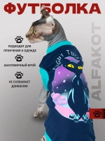Одежда для кошек сфинкс