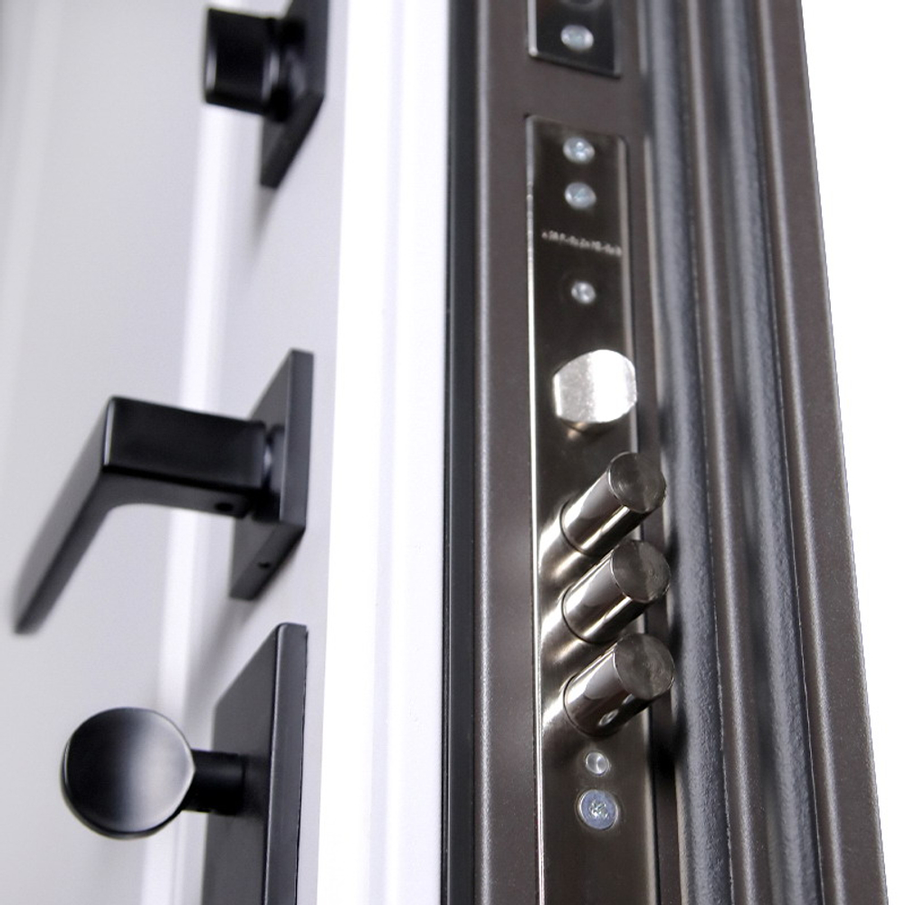 Стальная дверь "Дравит" (терморазрыв 3к). Заказная модель.