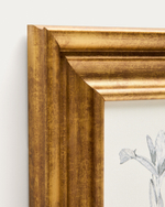 Картина Yalira с ботанической иллюстрацией 70 x 32,8 см