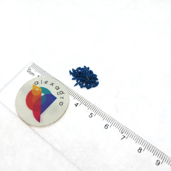 Тангерина F1 семена моркови курода/шантане (Takii /ALEXAGRO) отзывы – фото 3