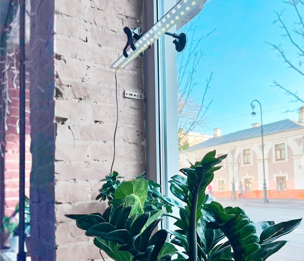 Фитолампа для освещения растений на подоконнике